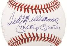 ted williams autograph